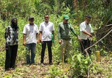 Tim Panitia A Kantah Banggai Lakukan Penelitian Lapangan Aset PLN Pagimana-Bunta