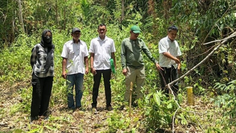 Tim Panitia A Kantah Banggai Lakukan Penelitian Lapangan Aset PLN Pagimana-Bunta