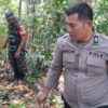 Aksi Nyata Sinergi Tiga Pilar, Bahut-Membahu Padamkan Api Demi Lindungi Kebun Warga Maahas