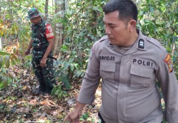 Aksi Nyata Sinergi Tiga Pilar, Bahut-Membahu Padamkan Api Demi Lindungi Kebun Warga Maahas