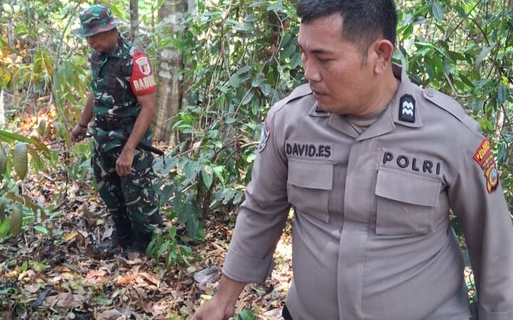 Aksi Nyata Sinergi Tiga Pilar, Bahut-Membahu Padamkan Api Demi Lindungi Kebun Warga Maahas