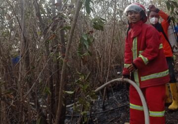 Satu Hari Dua Titik Api, BPBD Banggai Jinakkan Karhutla di Luwuk Selatan dan Utara