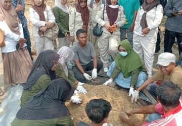 Ubah Lahan Tidur Jadi Sumur Rezeki, Sentuhan Emas CSR PT PAU Tingkatkan Kelas Petani Kintom