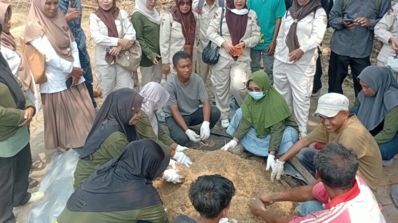 Ubah Lahan Tidur Jadi Sumur Rezeki, Sentuhan Emas CSR PT PAU Tingkatkan Kelas Petani Kintom