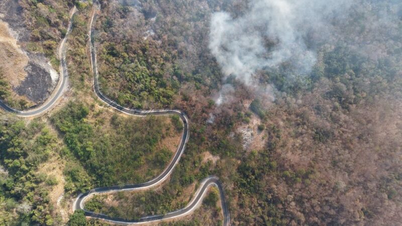 Cuaca Panas Ekstrem Picu Rentetan Karhutla, Kepala BPBD Banggai Sebut Empat Kejadian dalam Sepekan