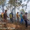 Luwuk Timur Diintai Jago Merah Dua Kali, Polisi Buka Suara usai Lahan 5 Hektare Hangus