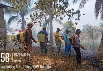 Luwuk Timur Diintai Jago Merah Dua Kali, Polisi Buka Suara usai Lahan 5 Hektare Hangus