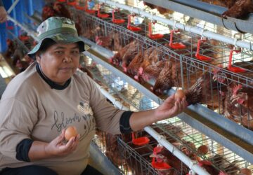 Cerita Warga Batui Merajut Kemandirian dan Menjemput Masa Depan Lewat Program PPM Pertamina EP Donggi Matindok Field