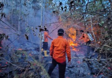 Siang Bolong Lenyek Membara, TRC BPBD Banggai Tancap Gas Padamkan 6 Hektar Karhutla di Pagimana