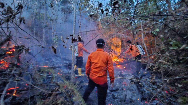 Siang Bolong Lenyek Membara, TRC BPBD Banggai Tancap Gas Padamkan 6 Hektar Karhutla di Pagimana