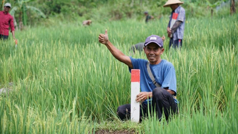 Jaga Keamanan Aset, Dirjen SPPR Imbau para Pemilik Tanah untuk Pasang Patok Tanda Batas