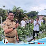 Kembangkan Komoditi Terung, Dinas TPHP Banggai Bikin Lahan Percontohan Lanjutan