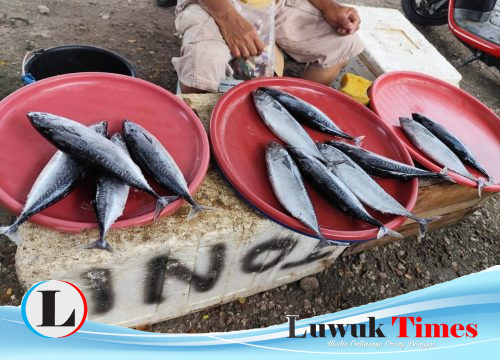 Musim Ikan Tapi Harga Naik? Ini Penjelasan Pedagang Pasar Simpong