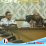 Pendapatan Daerah Meningkat Berkat Operasional PLTMG Luwuk dan Sistem 150 kV
