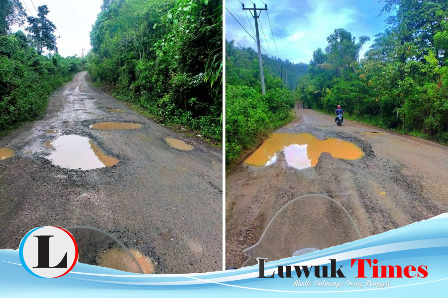 Jalan Rusak di Desa Siuna Banggai