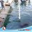 Tragedi di Senja Pagimana, Nelayan Pencari Teripang Ditemukan Meninggal yang Jasadnya Terapung di Laut