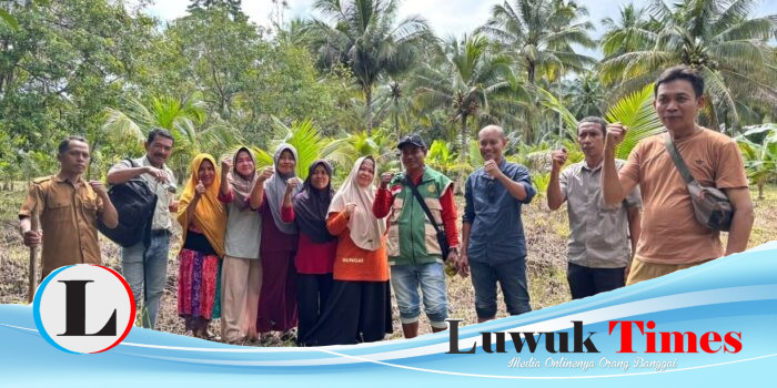 KWT Srikandi Terima Bantuan Pengembangan Cabai, Desa Tompotika Makmur Siap Jadi Sentra Hortikultura Baru