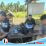 Panitia Pertek Kantah Banggai Tinjau Lokasi PKKPR Kegiatan Nonberusaha di Tanjung Tuwis