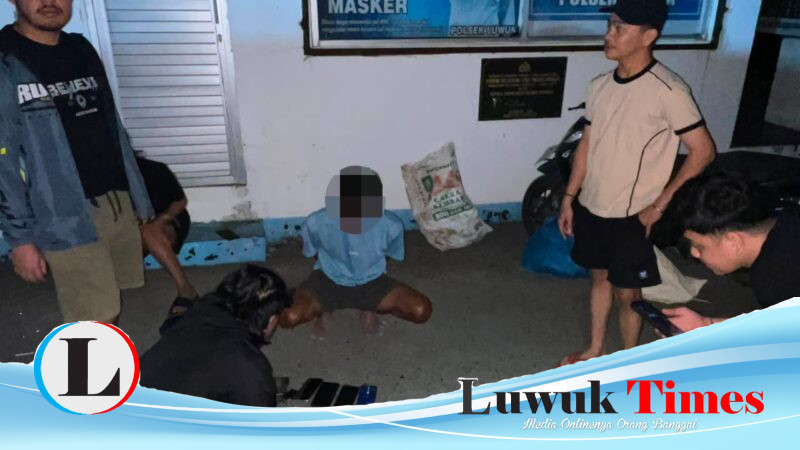 Jaringan Narkoba Palu-Luwuk Digagalkan, Polisi Sita 31 Paket