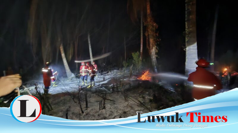 Angin Kencang Picu Karhutla Marak di Luwuk Timur, Tim Gabungan Bergerak Cepat