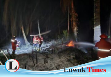 Angin Kencang Picu Karhutla Marak di Luwuk Timur, Tim Gabungan Bergerak Cepat