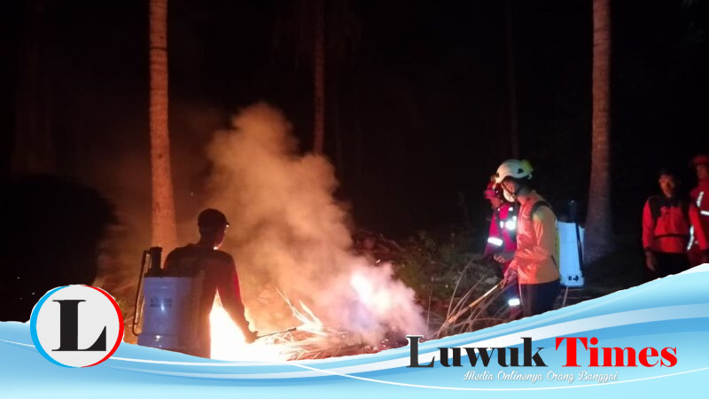 VIDEO: Kemarau Landa Pagimana, BPBD Banggai dan Tim Gabungan Terjun Padamkan Karhutla di Tiga Titik