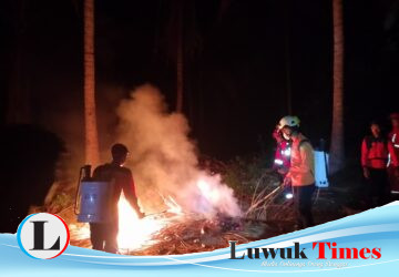 VIDEO: Kemarau Landa Pagimana, BPBD Banggai dan Tim Gabungan Terjun Padamkan Karhutla di Tiga Titik