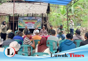Gandeng PT PAU, TPHP Banggai Gembleng Petani Jagung Batui dan Kintom Lewat Sekolah Lapang