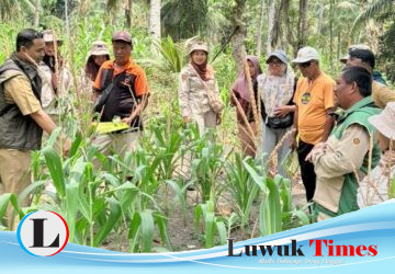 Dorong Kesejahteraan Petani, PT PAU Perkuat Kolaborasi Public-Private Partnership di Banggai