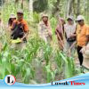 Dorong Kesejahteraan Petani, PT PAU Perkuat Kolaborasi Public-Private Partnership di Banggai