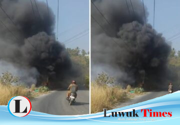 Kemarau dan Angin Kencang Picu Karhutla di Bukit Maahas Luwuk Selatan