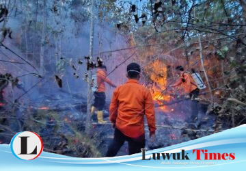 Siang Bolong Lenyek Membara, TRC BPBD Banggai Tancap Gas Padamkan 6 Hektar Karhutla di Pagimana