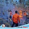 Siang Bolong Lenyek Membara, TRC BPBD Banggai Tancap Gas Padamkan 6 Hektar Karhutla di Pagimana