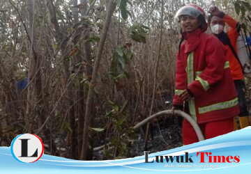Satu Hari Dua Titik Api, BPBD Banggai Jinakkan Karhutla di Luwuk Selatan dan Utara