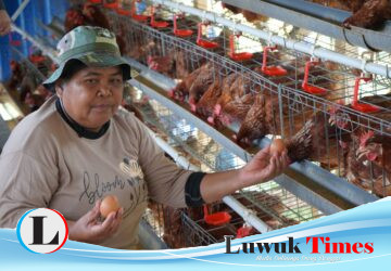 Cerita Warga Batui Merajut Kemandirian dan Menjemput Masa Depan Lewat Program PPM Pertamina EP Donggi Matindok Field